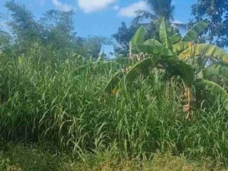 Dasmariñas Cavite, Lot for sale