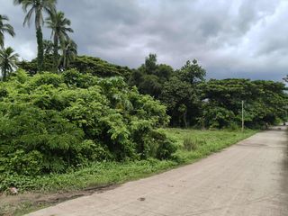 2.4 Hectares Farm lot in Padre Gacia Batangas wide Frontage