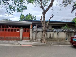 FOR SALE: 500 sqm Old House and Lot, Brookside Hills, Cainta, Rizal