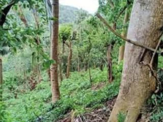 766 sqm Taal Lake View Lot for Sale | Niyugan, Laurel, Batangas | ₱2,681,000