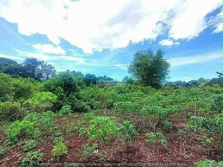 7,305 Sqm Residential Lot For Sale In Tabalong, Dauis, Bohol