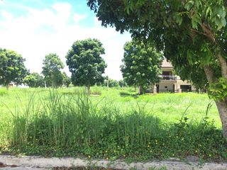 Resale Lot in Greenmeadows Iloilo at 10K/sqm facing East