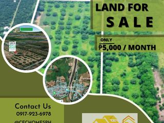 FOR INSTALLMENT - Land for Sale in Sta Lucia Capas Tarlac - 13 minutes away New Clark City