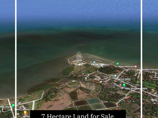 7 Hectare Land for Sale in Bago City, Negros Occidental