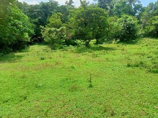 Tagkawayan Quezon Lot for sale Zoning for Poultry