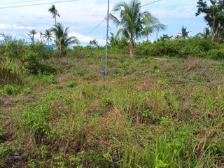 Lot only in Moalboal For Sale walking distance to the beach