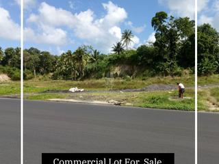 Commercial Lot For Sale in Sorsogon City