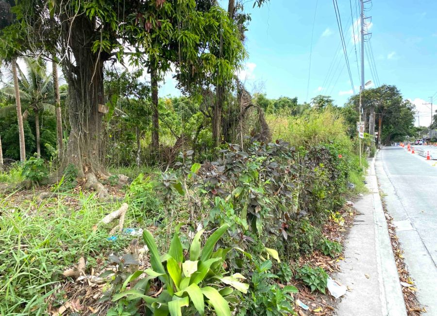 P15k/sqm TITLED. Frontage to CRISANTO de los REYES AVE. 1560sqm Lot for ...