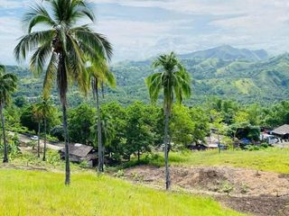 35 Hectares Mango & Coco Agricultural Lots for Sale Carmen, Agusan Del Norte