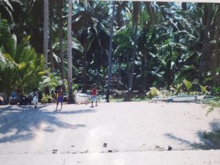 Prime 39,635 SQM Beachfront Lot for Sale in Carabao Island, Romblon