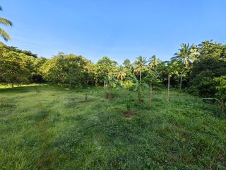 Tagaytay Farm Lot for Sale in Alfonso Cavite at 1 hectare