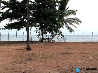 Amlan Beach Lot for Sale, Negros Oriental