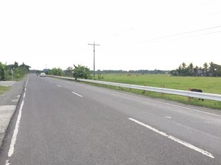 Farm Lot For Sale in Oton Iloilo along  National Road near Lumina Homes