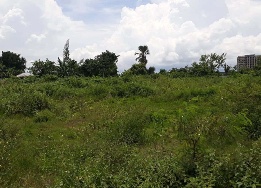 RESIDENTIAL 2.1 hectare LOT and has fenced in Mactan.