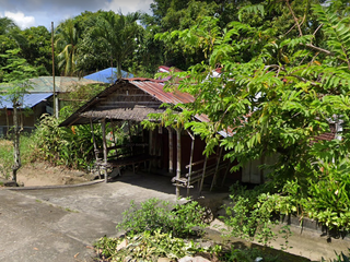 For sale House & Lot Bago