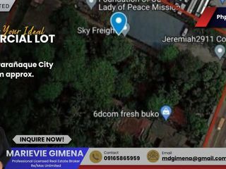 For Sale: Vacant lot along Quirino Avenue and Coastal Road, Paranaque