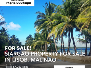 SIARGAO PROPERTY FOR SALE IN LISOB, MALINAO