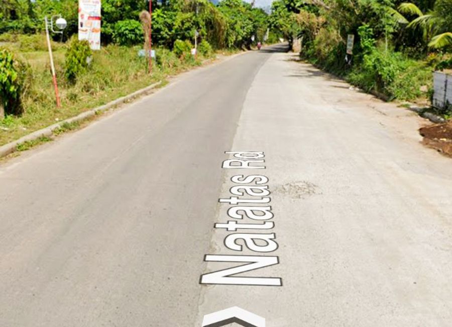 place photo 29
