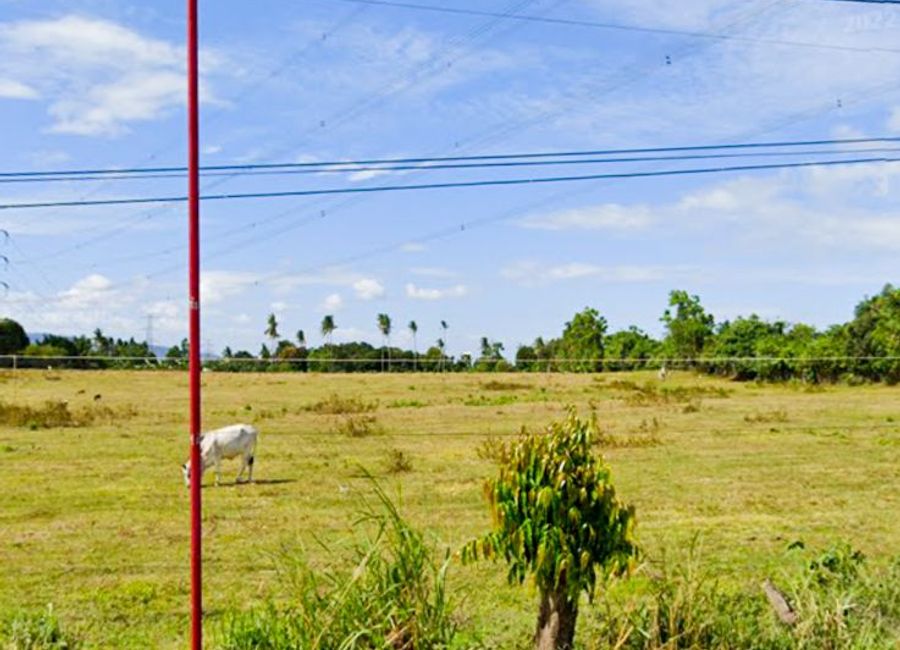 place photo 30