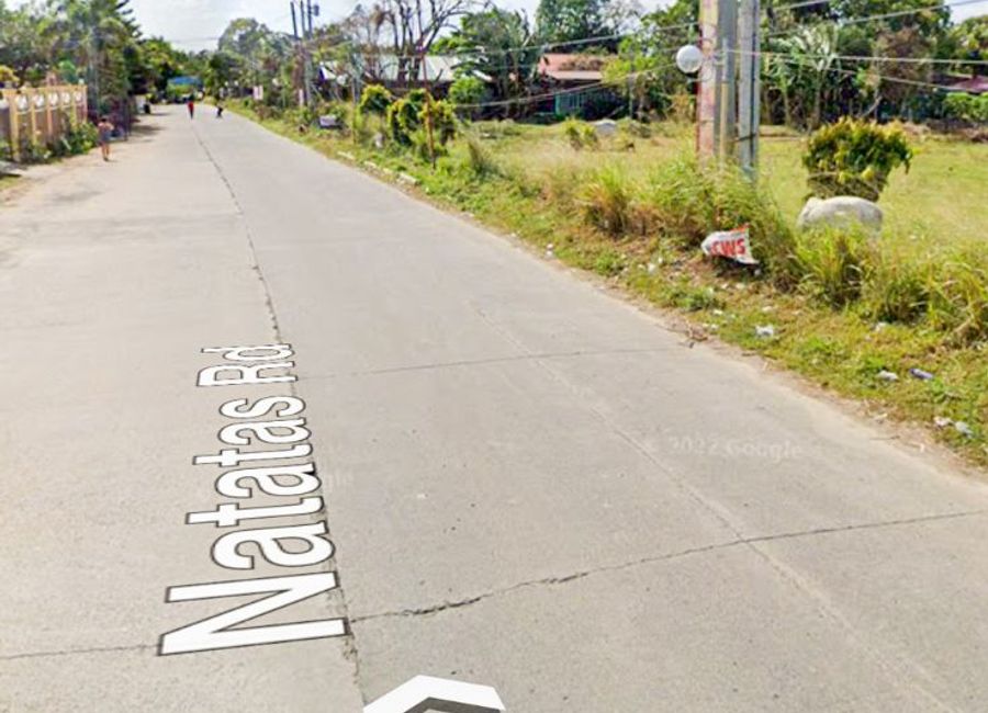 place photo 31