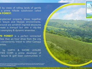 Camaya Sky Town Forest
