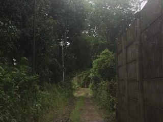 Farm Lot in Sto. Rosario Batangas