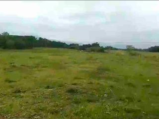 62 Hectares Ibaan Batangas Land Ideal for Industrial or Residential Use