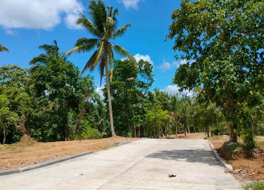 LOT FOR SALE 500 SQM IN ALFONSO CAVITE TAGAYTAY WEATHER