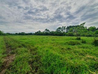 9804 sqm Farm Lot in Lipa City, Batangas FOR SALE