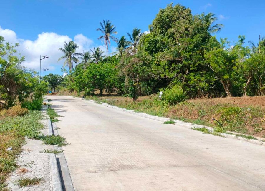 RESIDENTIAL FARMLOT IN CAVITE NEAR TAGAYTAY WITH GOOD CLIMATE FOR SALE