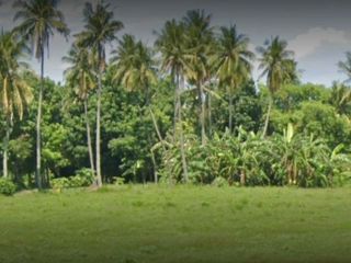 Lot for Sale at Lemery Batangas Farm Commercial Residential Lot Clean Title
