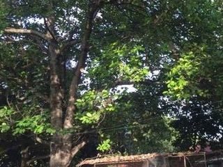 Land for sale in Toledo City, Cebu Philippines