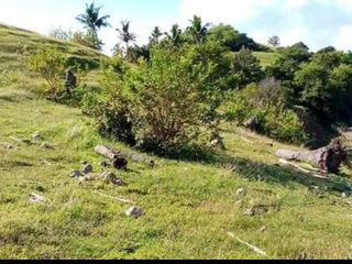 176 hectares Land @ Tugdan Alcantara Romblon