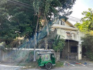 Lot For Sale in Greenville Subdivision at Paranaque City