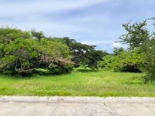 Good Deal! 1,078 sqm Big Lot for Sale in Lemery, Batangas at Leisure Farms