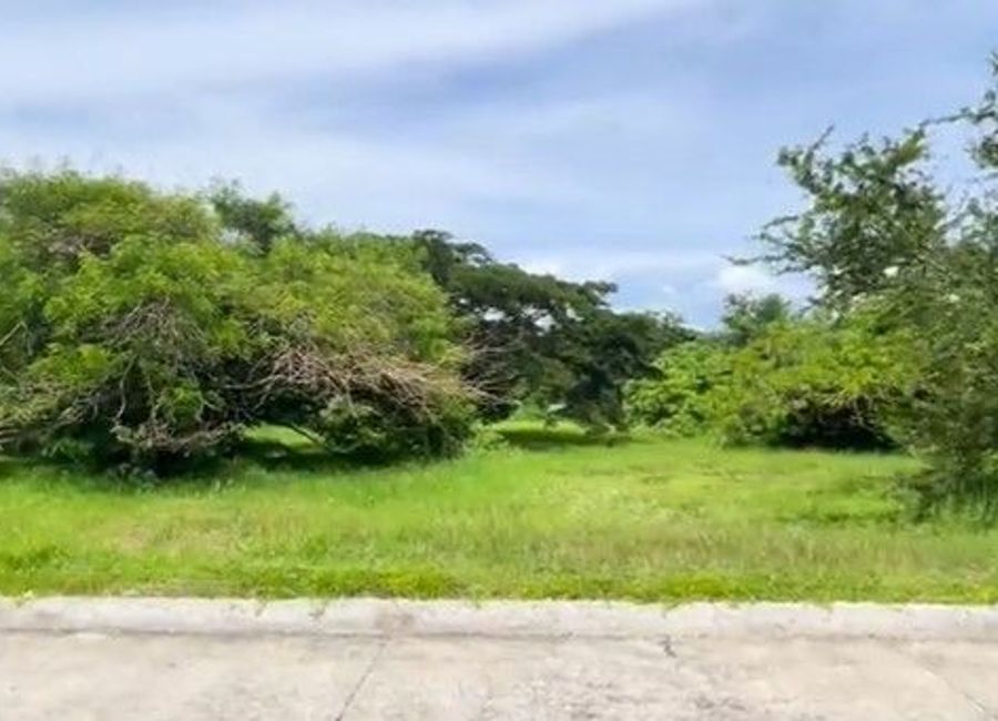 Good Deal! 1,078 sqm Big Lot for Sale in Lemery, Batangas at Leisure Farms