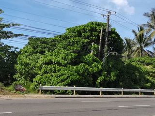 Lot for sale Bacolod