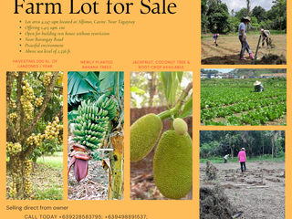 Farm Lot Near Tagaytay