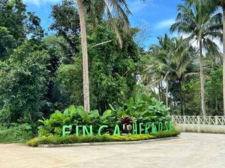LOT FOR SALE 500 SQM IN ALFONSO ALONG THE  ROAD