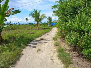 Pre-Selling Beach Lot Properties in Moalboal, Cebu