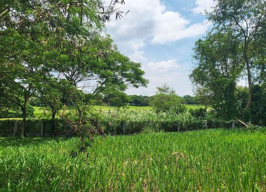 🔴GOOD BUY Exclusive Fairway Residential Lot For Sale In Manila Southwoods Phase 2