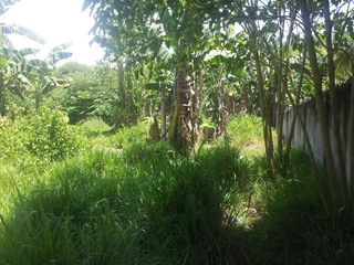 Reduced Price Fenced Residential Lot for Sale in Dumaguete City