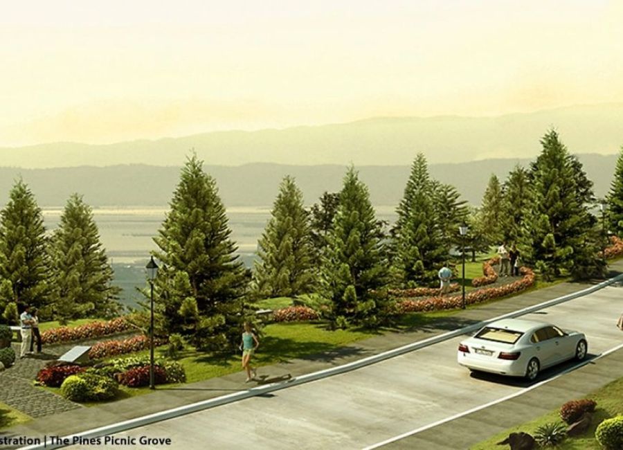 place photo 7