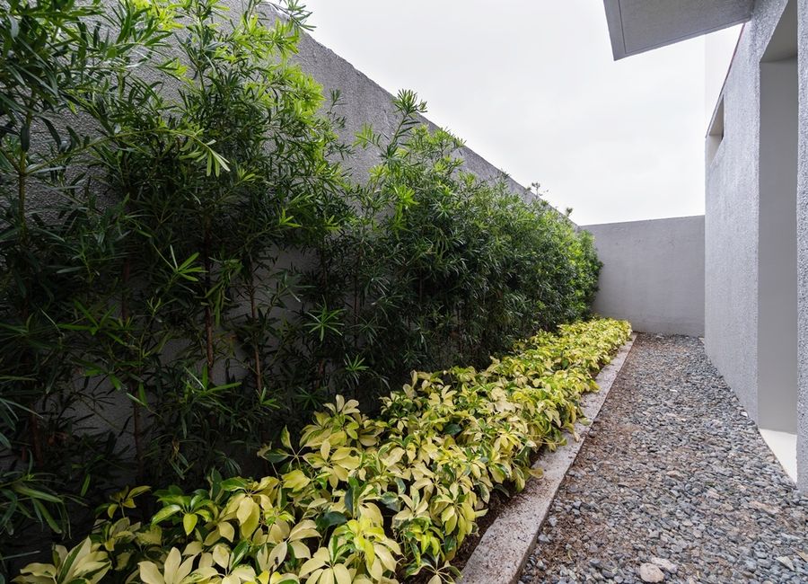 place photo 55