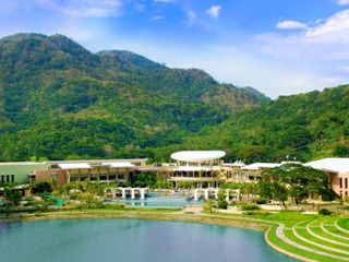 For sale ‼️PICO DE LORO IN BATANGAS