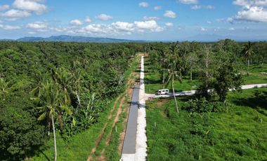 Eastwest Resort Hub Development for Sale 1,200 sqm Prime Regular Lot in Indang, Cavite