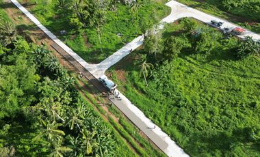 Eastwest Resort Hub Development for Sale 611 sqm Corner Lot in Indang, Cavite